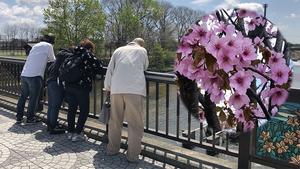 2019年5月 お花見